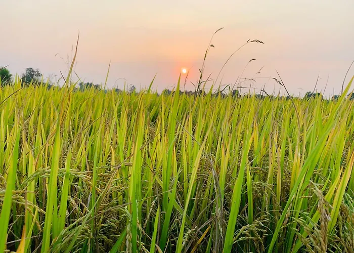 Cu Chi Boutique Countryside