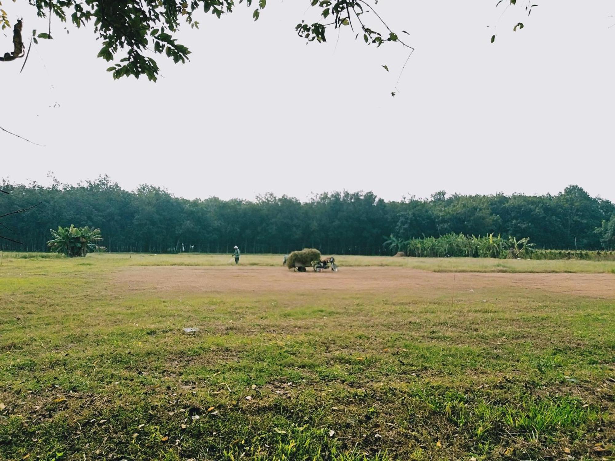 Cu Chi Boutique Countryside *