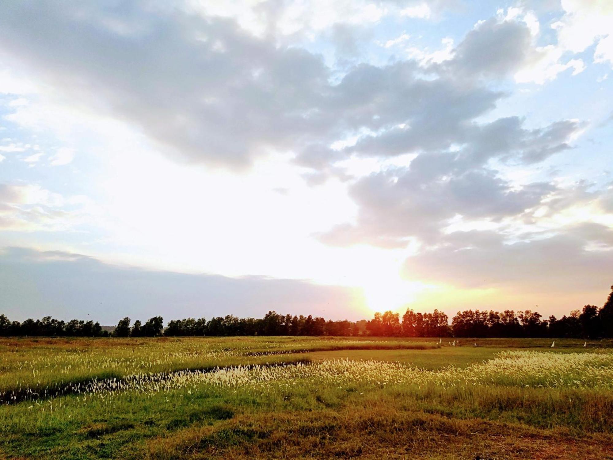 Cu Chi Boutique Countryside TP. Hồ Chí Minh
