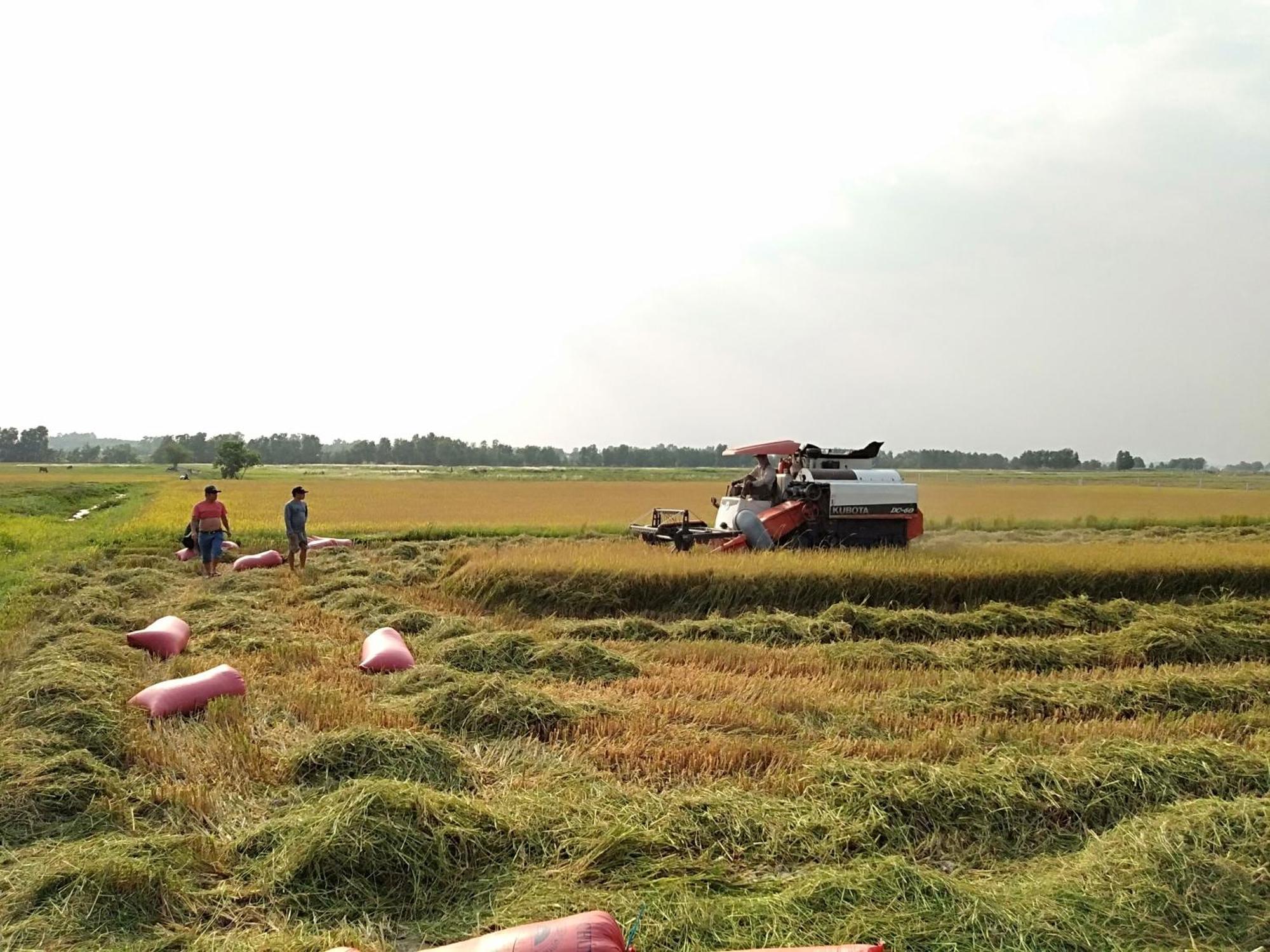 Cu Chi Boutique Countryside
