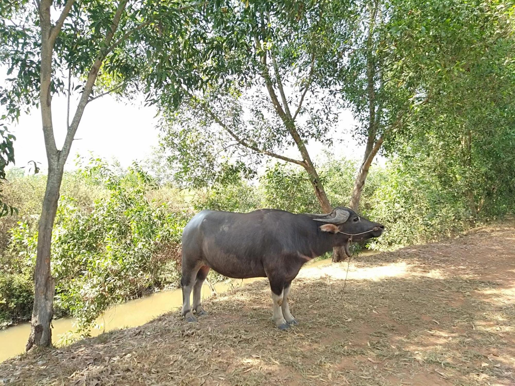 Cu Chi Boutique Countryside Ở trọ