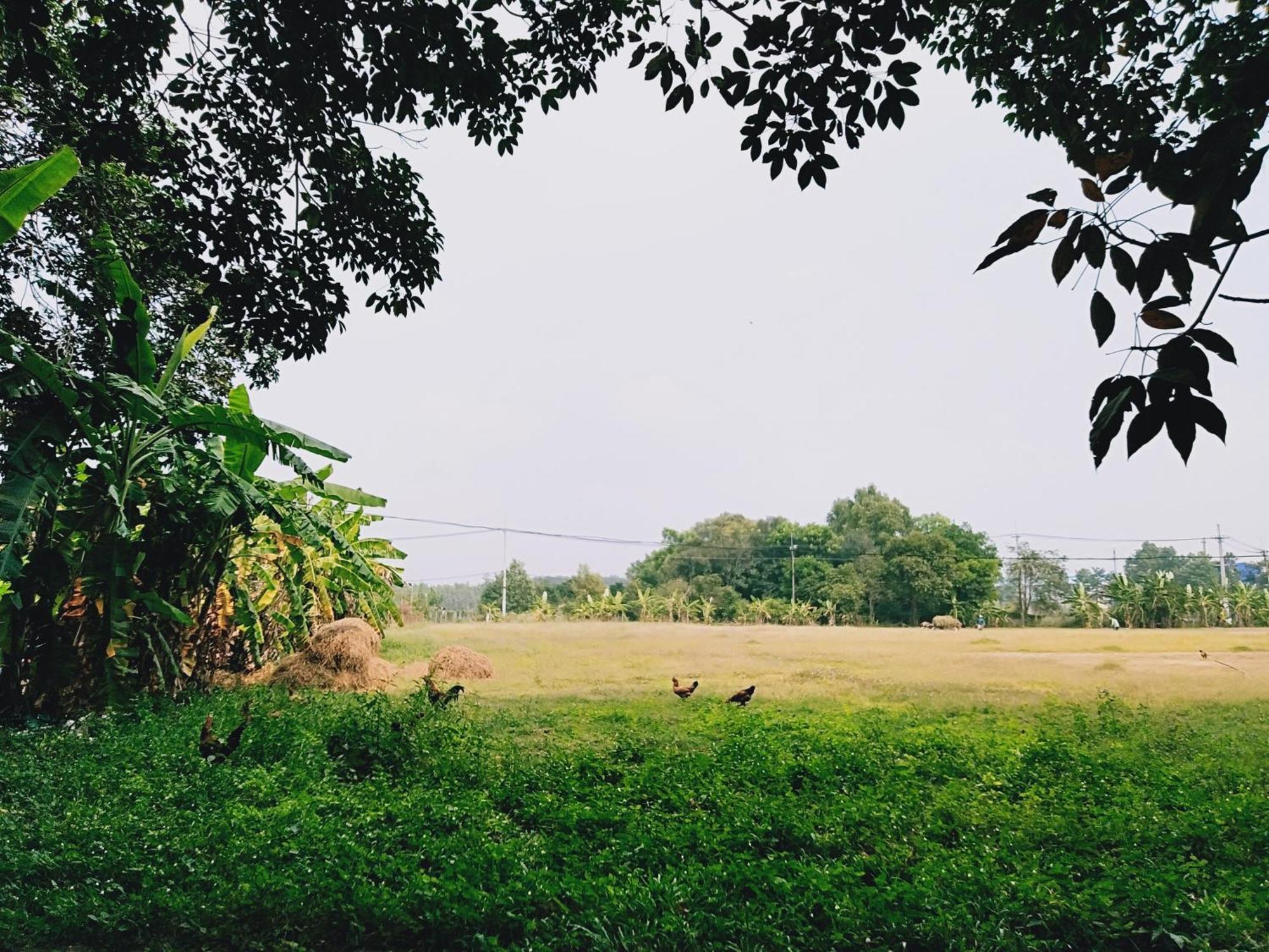 Cu Chi Boutique Countryside Ở trọ TP. Hồ Chí Minh