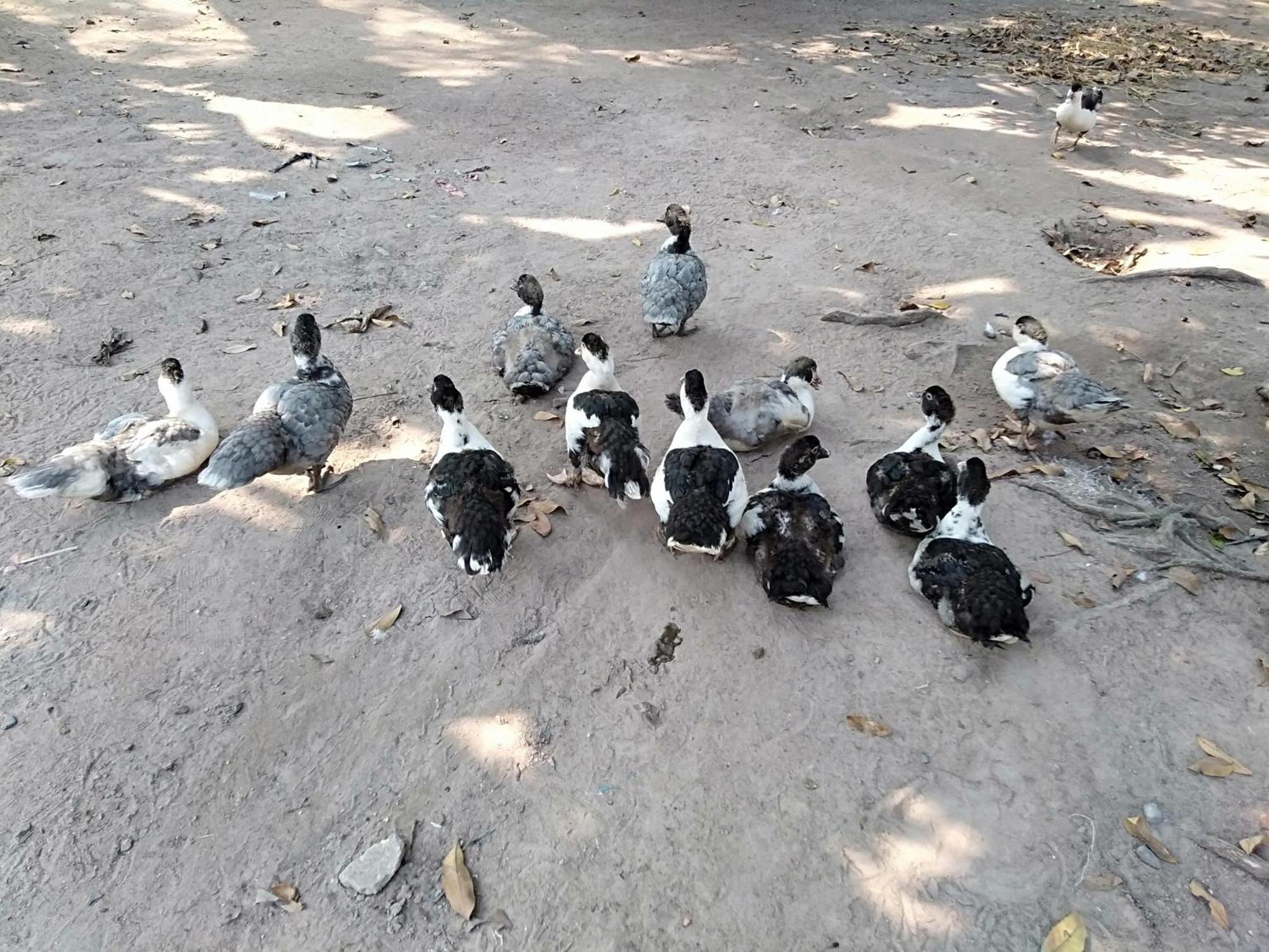 Ở trọ Cu Chi Boutique Countryside