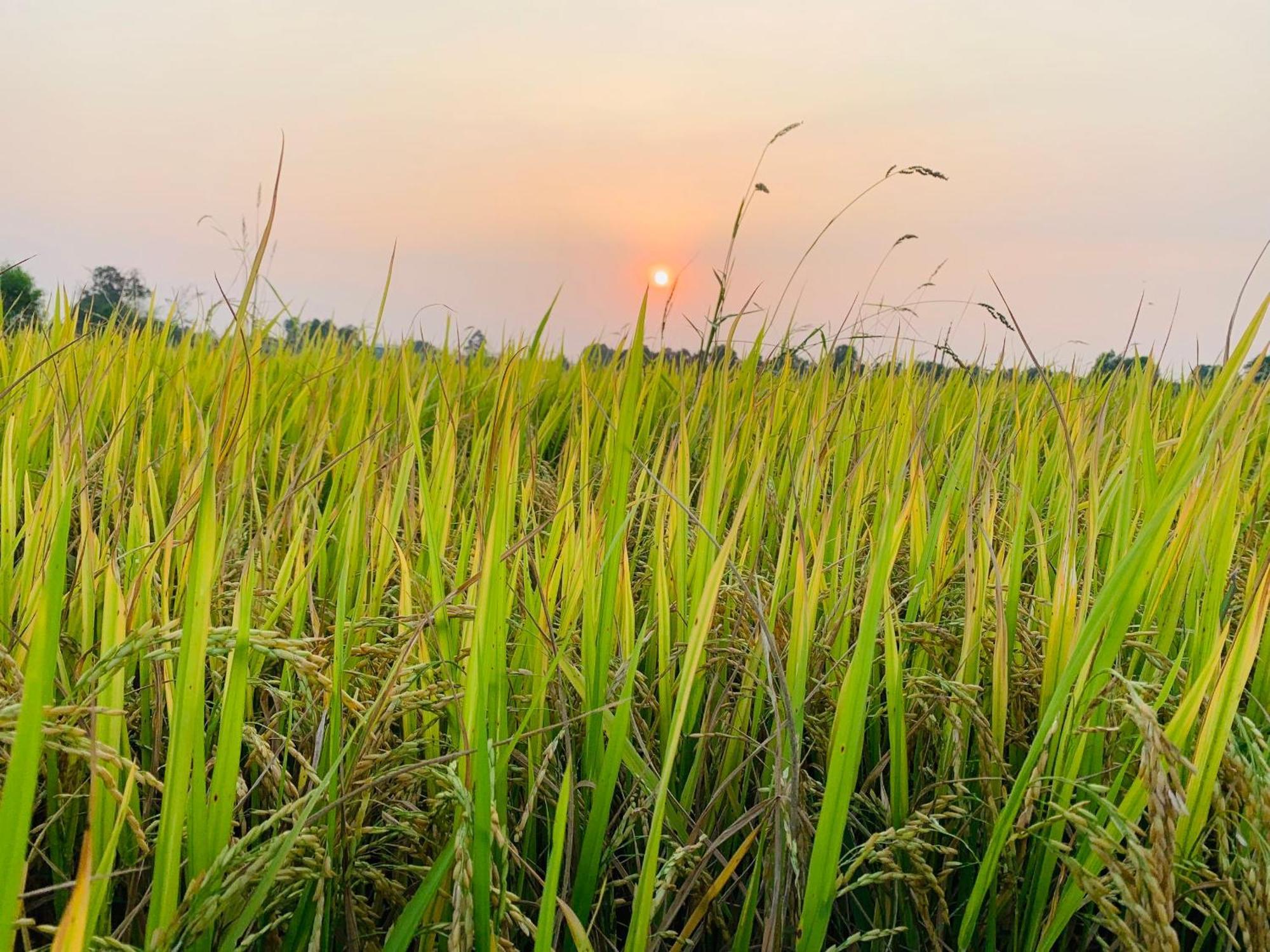 Cu Chi Boutique Countryside *